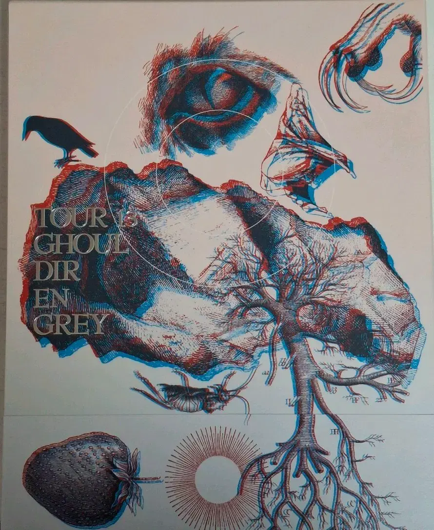 dir en grey 디르앙그레이 2013 라이브 dvd 비주얼계 | 브랜드 중고